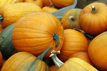 Similar image 6496291