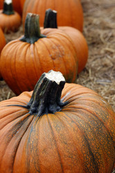 Similar image 6496293