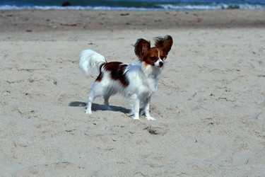 Similar image 6496331