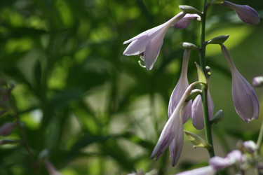 Similar image 6496333