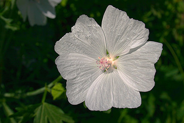 Similar image 6496334