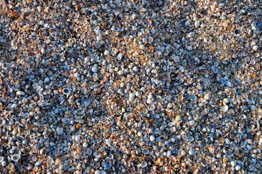 Similar image 6496923