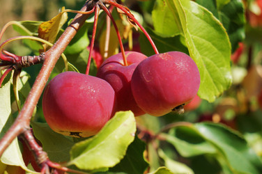 Similar image 6496956