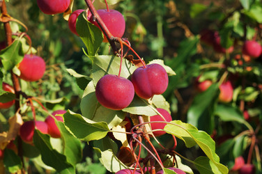 Similar image 6496957