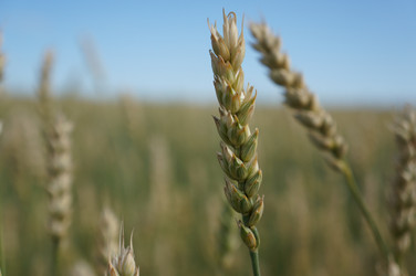 Similar image 6496961