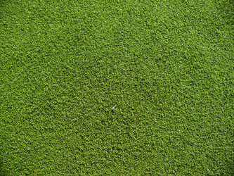 Similar image 6496983