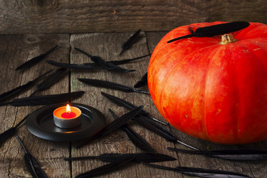 Similar image 6497021