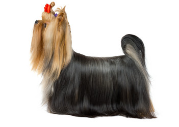 Similar image 6497048