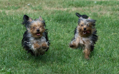 Similar image 6497054