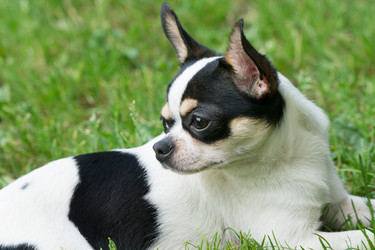 Similar image 6497057