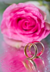 Similar image 6497096