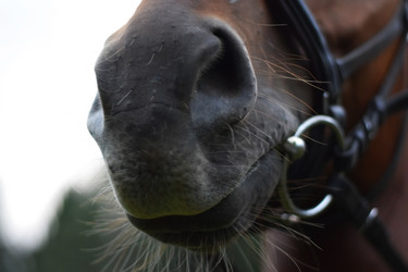 Similar image 6497100