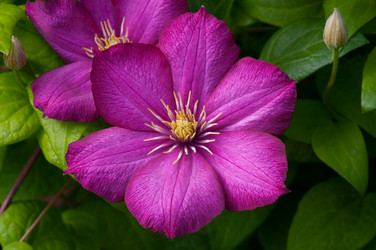 Similar image 6497144