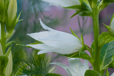 Similar image 6497148