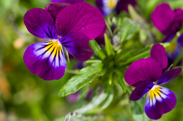 Similar image 6497149