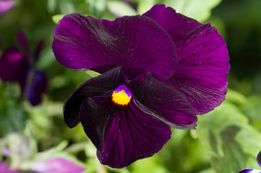 Similar image 6497150