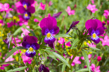 Similar image 6497151