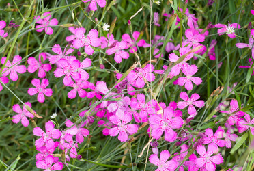 Similar image 6497152