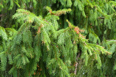 Similar image 6497153