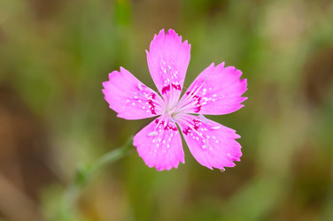 Similar image 6497155