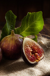 Similar image 6497192