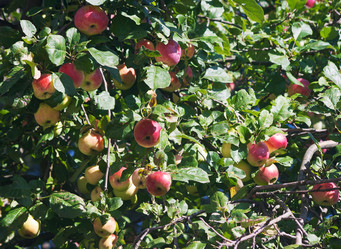 Similar image 6497216