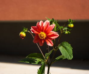 Similar image 6497220