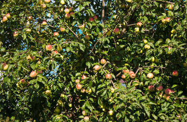 Similar image 6497222