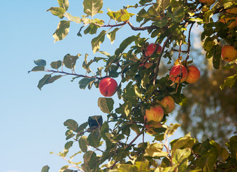 Similar image 6497226