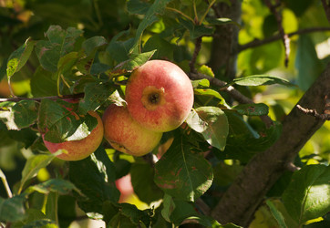 Similar image 6497228