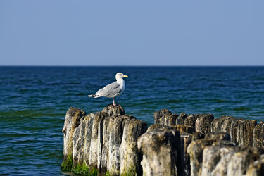 Similar image 6497256