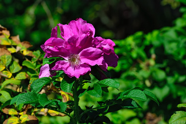 Similar image 6497259