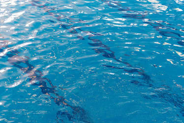 Similar image 6497305