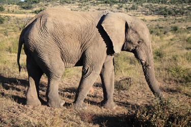 Similar image 6497380