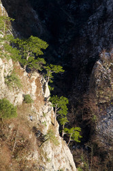 Similar image 6497543