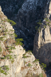 Similar image 6497544