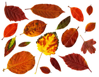 Similar image 6497558