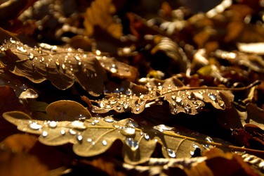 Similar image 6497589