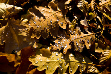 Similar image 6497590