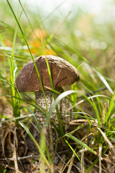 Similar image 6497611