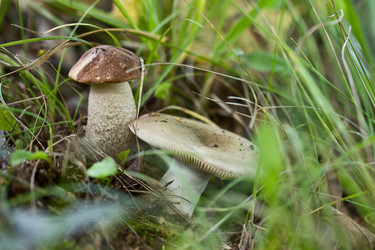 Similar image 6497631