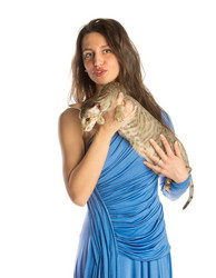 Similar image 6497673