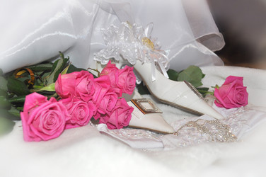 Similar image 6497839