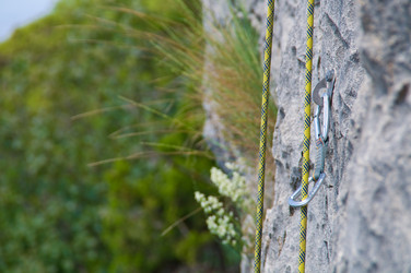 Similar image 6497840