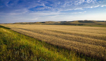 Similar image 6497967