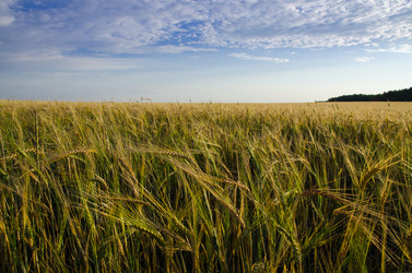 Similar image 6497969