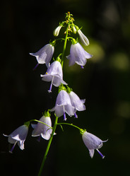 Similar image 6497972