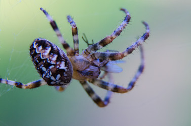 Similar image 6497973