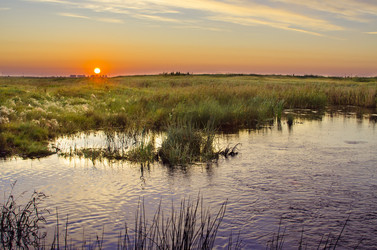 Similar image 6497974