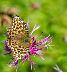 Similar image 6497975